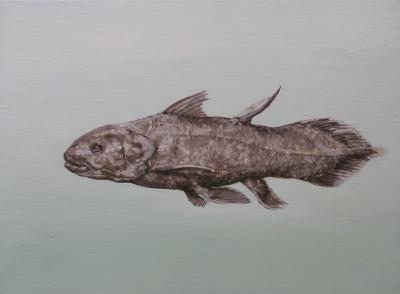 coelacanth coelacanth