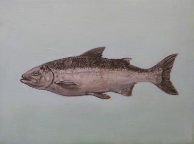 Zalm Zalm