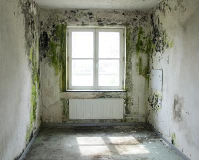kamer 1.1 kamer 1.1