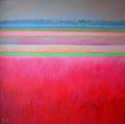 polder polder