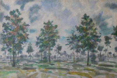 bomenlandschap bomenlandschap