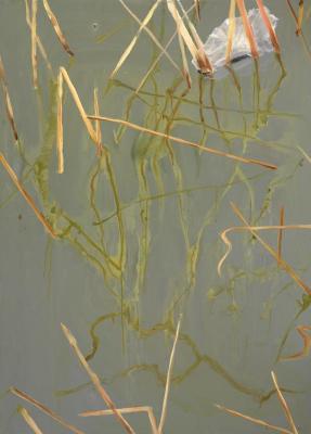 riet riet