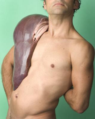 The Liver The Liver