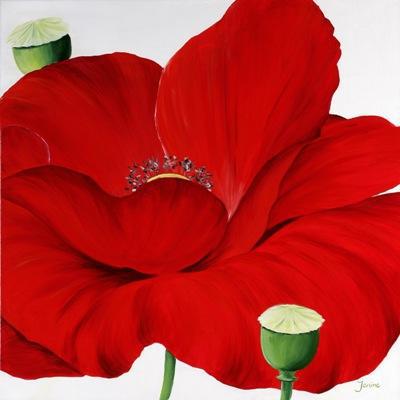 RED POPPIE ON WHITE RED POPPIE ON WHITE