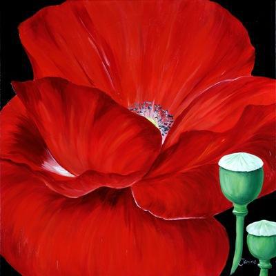 RED POPPIE IN THE DARK RED POPPIE IN THE DARK