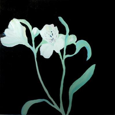 lilyland2 lilyland2