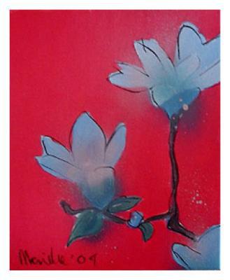 magnolia magnolia