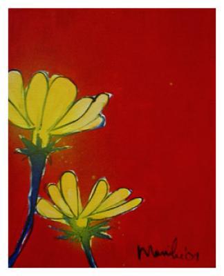 flowers red/yellow flowers red/yellow