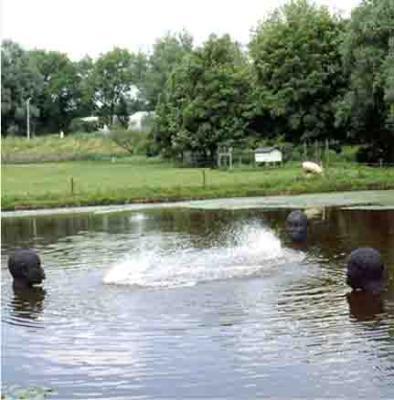 whispering water whispering water