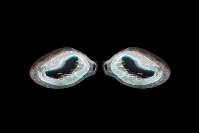 double clam double clam
