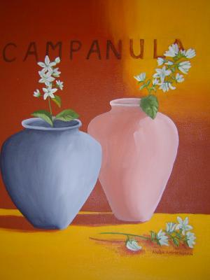 Potten - Campanula