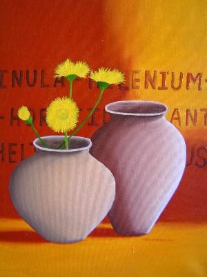 Potten - Inula Potten - Inula