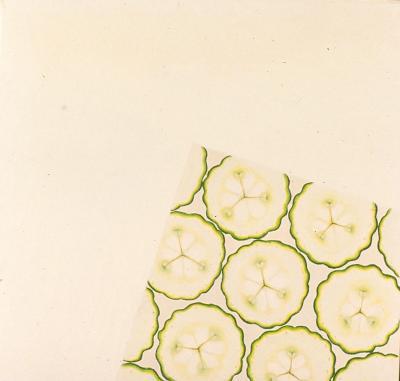 KOMKOMMERSCHIJFJES MET HOMEOPATHISCHE ACHTERGROND KOMKOMMERSCHIJFJES MET HOMEOPATHISCHE ACHTERGROND