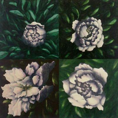Paeonia Paeonia