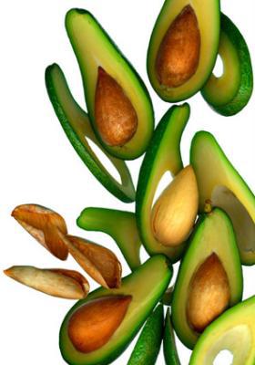 Avocado Avocado