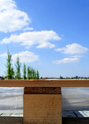 Landschap Landschap