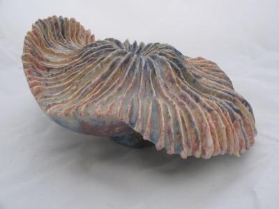 paddestoel paddestoel