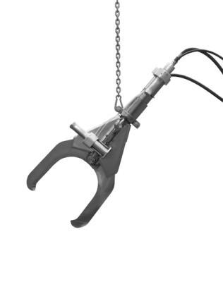 Carcass Cutter - 4000 cows per week Carcass Cutter - 4000 cows per week