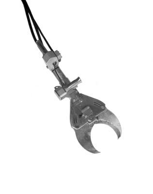 Neck Cutter - 5000 pigs per day Neck Cutter - 5000 pigs per day