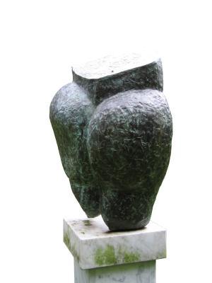 torso torso