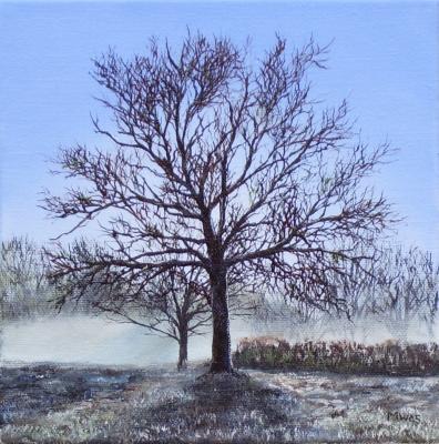 Kale bomen Kale bomen