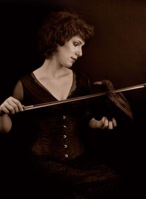 the crow that wanted te be a violin the crow that wanted te be a violin