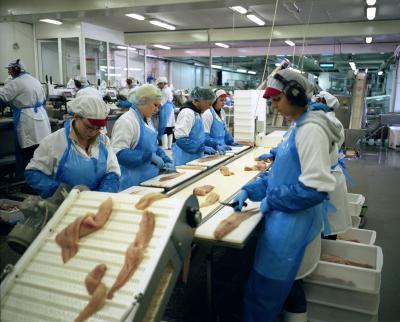 Faroer Eilanden 6 Visfileren Faroer Eilanden 6 Visfileren