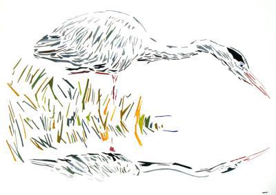 Reiger Reiger