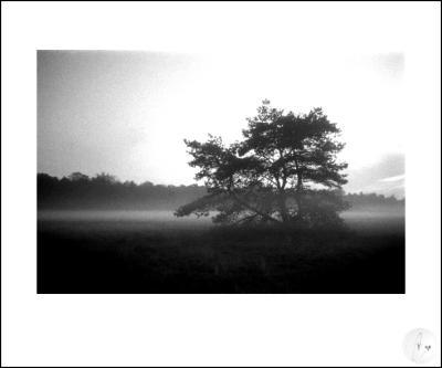 a-0982-12-1985 a-0982-12-1985