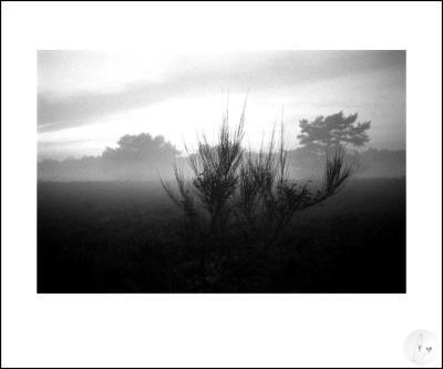 a-0982-19-1985 a-0982-19-1985