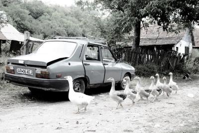 Dacia Dacia