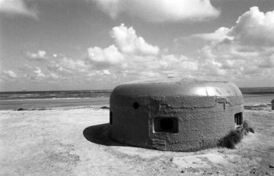 a-0831-36-1980 a-0831-36-1980