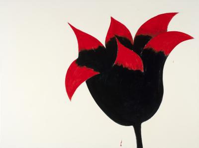 bijna duivelse tulp bijna duivelse tulp