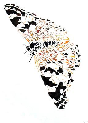 Vlinder Vlinder