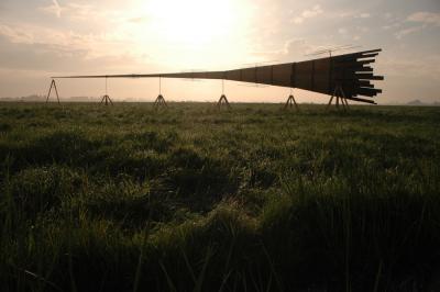 Rijnhoorn