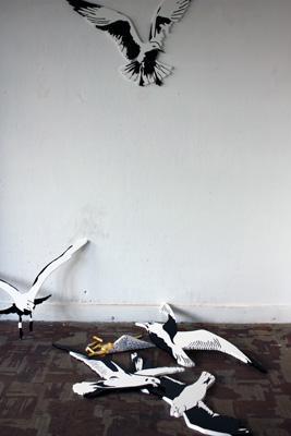 Seagulls Seagulls