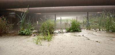 Temporary Landscape 6728 Temporary Landscape 6728
