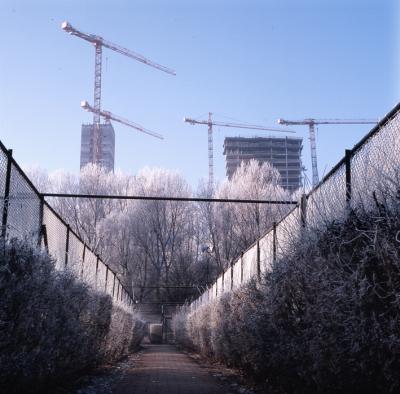 Zuidas/rijp Zuidas/rijp