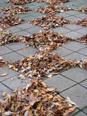 Herfst in Hilversum Herfst in Hilversum