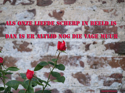 Liefde, scherp in beeld Liefde, scherp in beeld