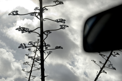 Rear View Mirror Rear View Mirror