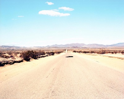 Roadkill Roadkill