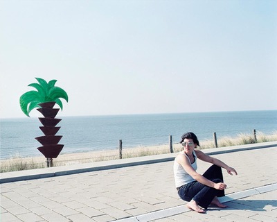 Palmboom Palmboom