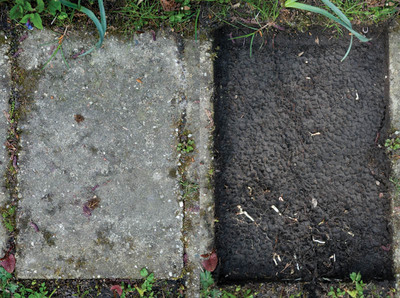 Tegelpad Tegelpad