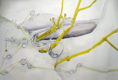 Yellow tree eaters Yellow tree eaters