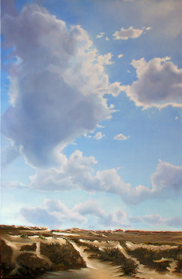 Duinen Duinen
