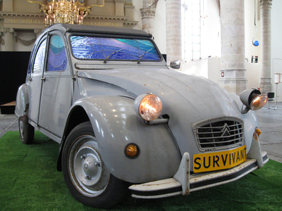 survivant survivant