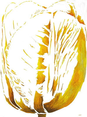 De tulp De tulp