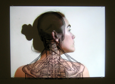 Bodyscan Bodyscan