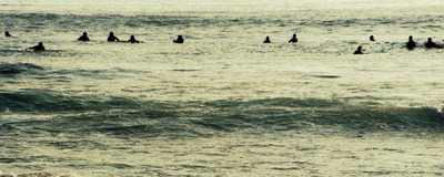 Beachlife Beachlife